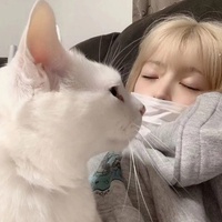 硬核观影人